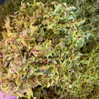 铁皮石斛花