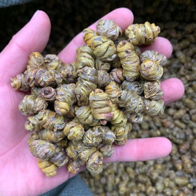 铁皮石斛枫斗