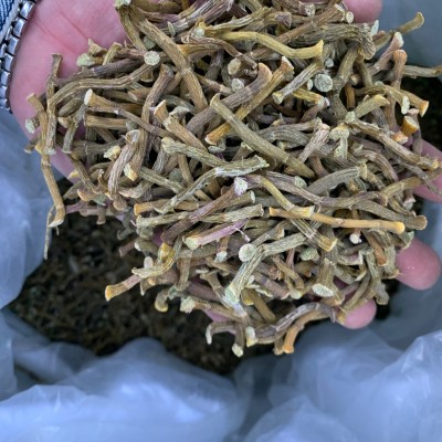 铁皮石斛寸条