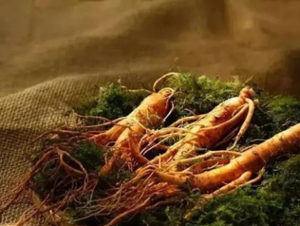 通化：“中国中药之乡”的守正与创新