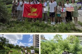 辨中药、采草药、做草药船……来金海街道赴一场有趣有料的中草药文化之旅