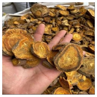 药用大黄，产自河南洛阳豫西山区，伏牛山区野生药材