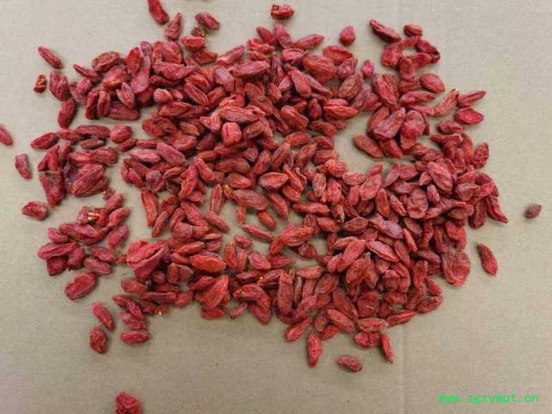 批发枸杞子产地直销枸杞子