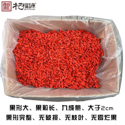 杞福源宁夏锁鲜枸杞新果冻干枸杞子现货批发特级头茬即食鲜枸杞