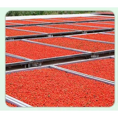 杞福源新货宁夏枸杞子中宁枸杞散装批发即食特大头茬枸杞