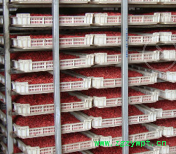 杞福源宁夏枸杞子散装干货批发即食免洗中宁县红枸杞子代工贴牌